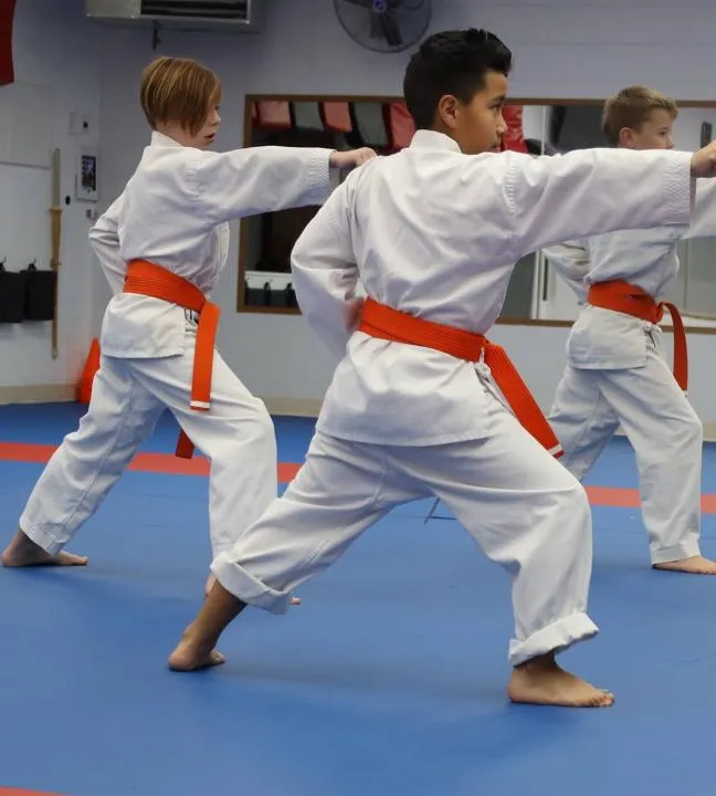 Children & Youth at Colorado Karate Club