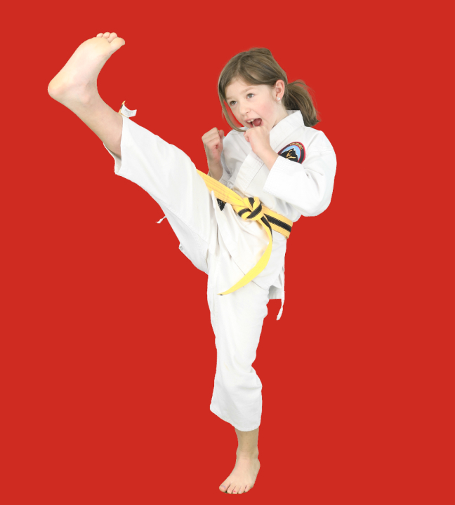 kids martial arts programs