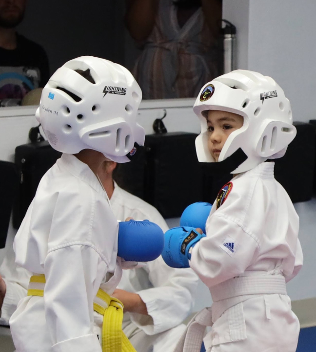 kids martial arts programs