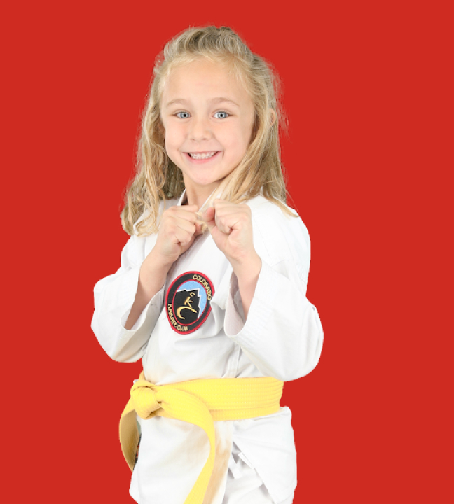 kids martial arts programs