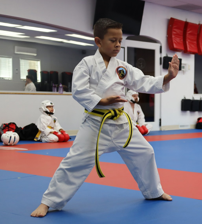 kids martial arts programs